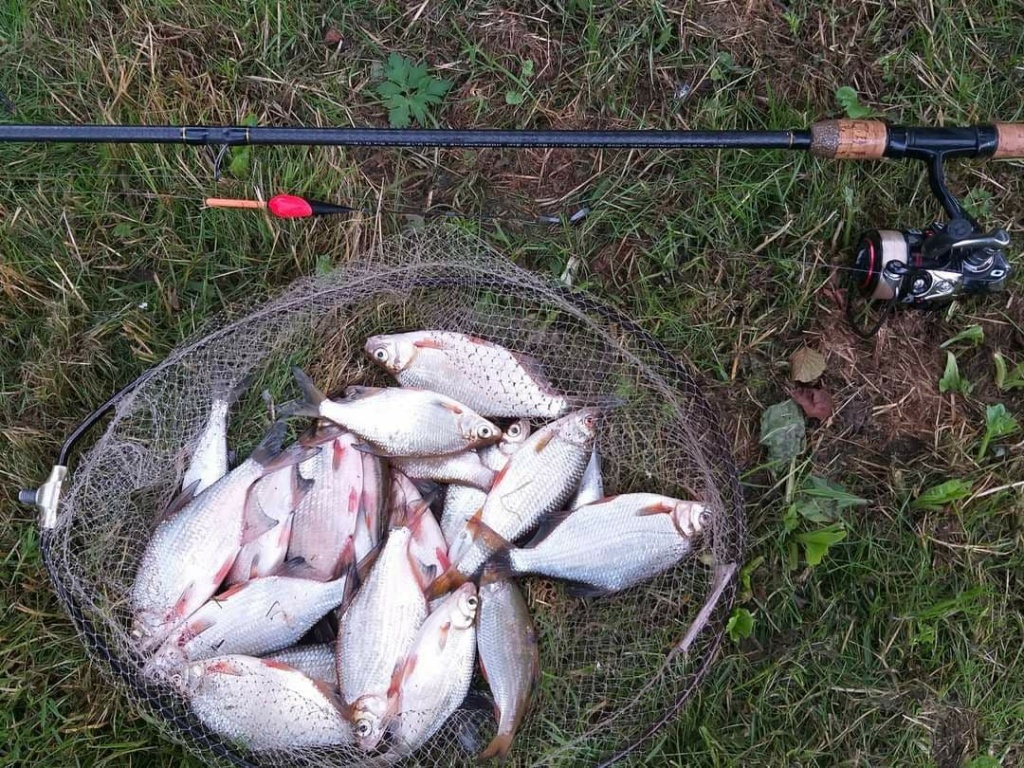 Матчевая удочка  самая универсальная снасть (3).jpg